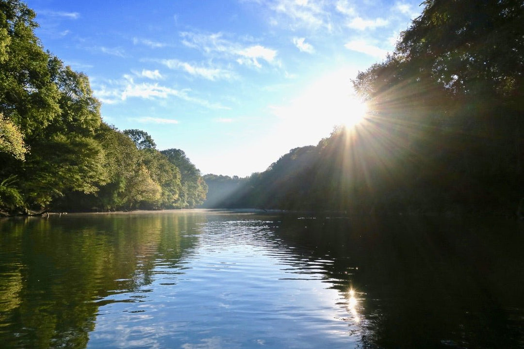 Fly Fishing the Chattahoochee River: Hatches, Flies, and Big Browns