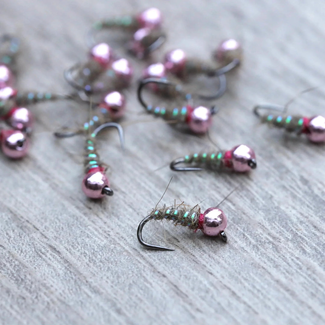 FAQ: Types of Nymphs Explained