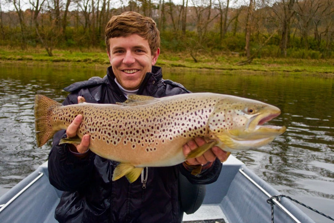 Fly Fishing the White River: Hatches, Best Flies, and Trophy Brown Trout Tactics