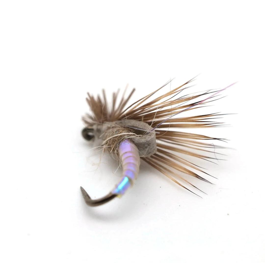 A Guide for Dry Fly vs Nymph: A Decision System Based on Conditions, Not Preference