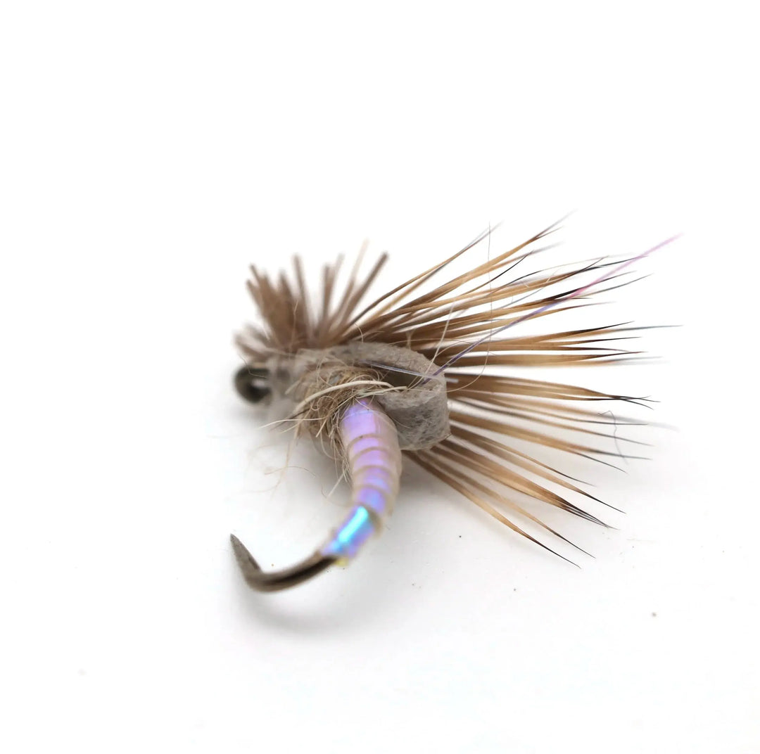 Dry Fly Fishing for Trout: How to Read the Rise, Match the Hatch, and Land the Fish
