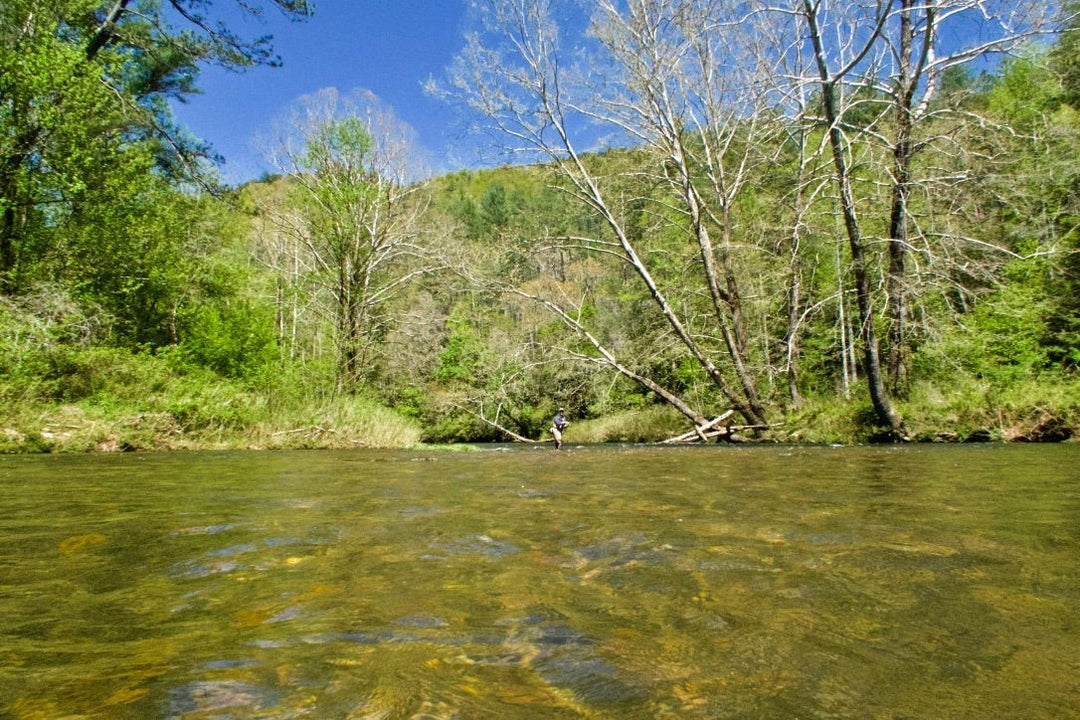 Guide: Matching the Hatch: Understanding Trout Feeding Behavior Instead of Memorizing Insects