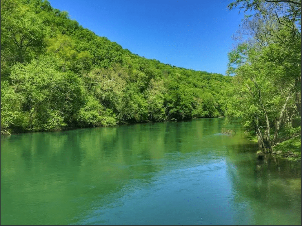 Fly Fishing the Little Red River: Hatches, Best Flies, and Dam Release Strategy