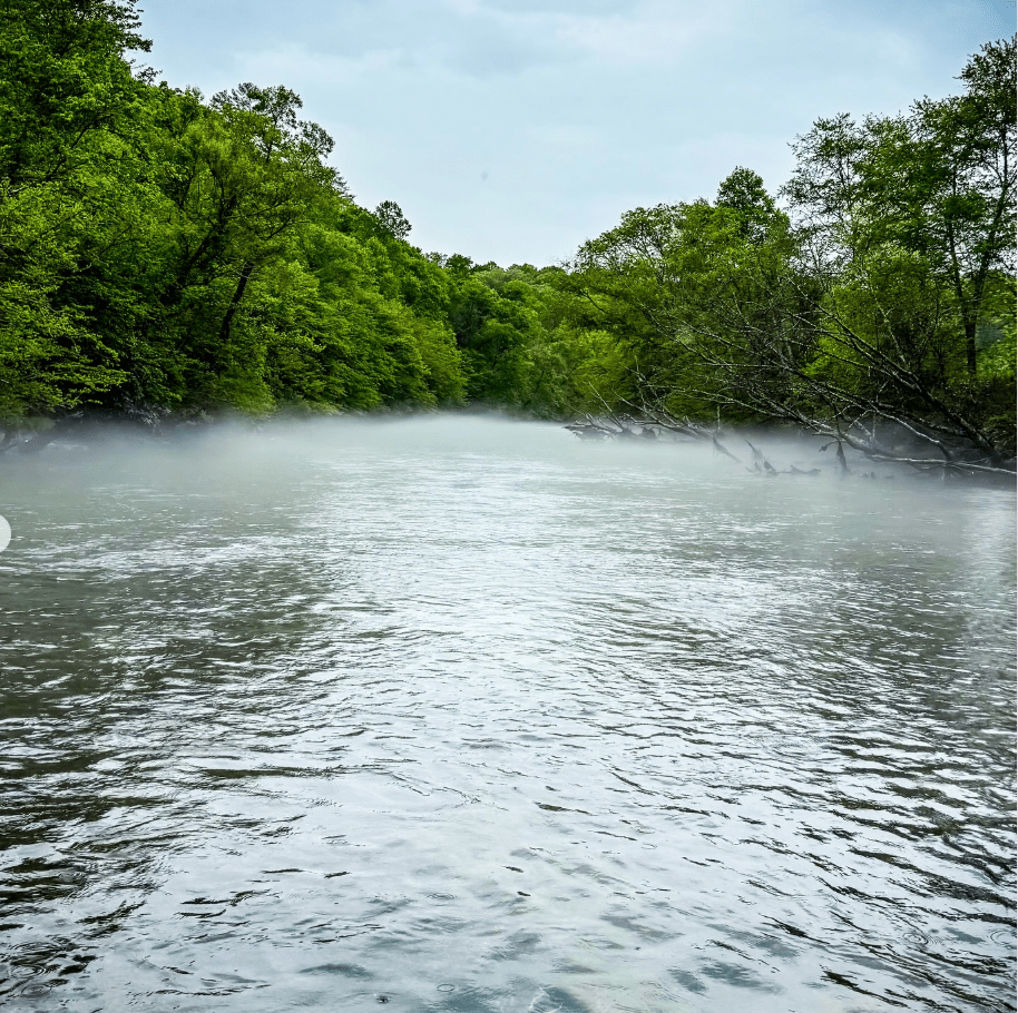 Fly Fishing the Toccoa River: Hatches, Best Flies, and Dam Release Strategy