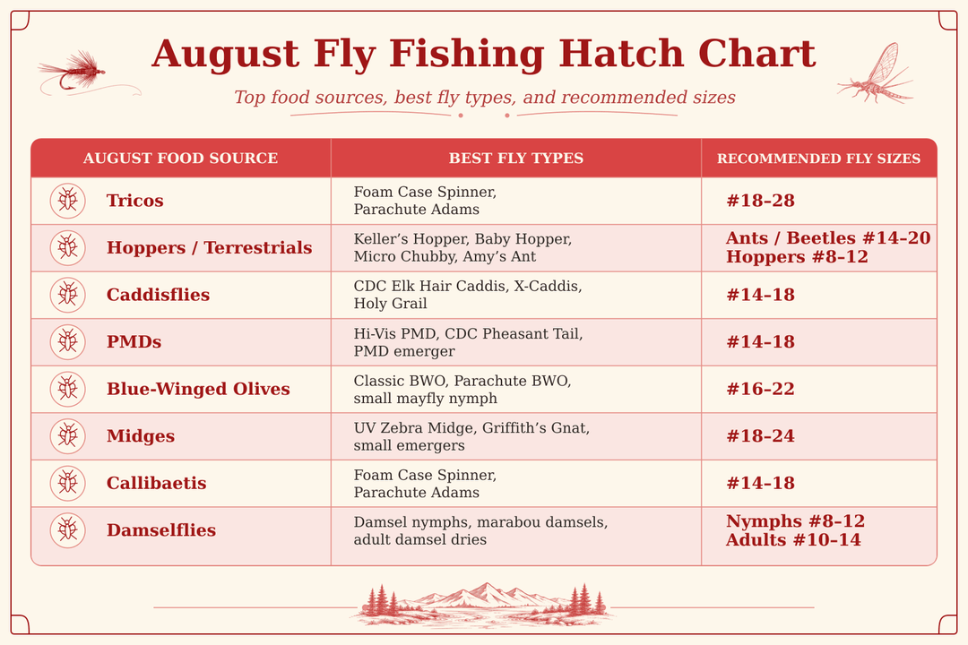 Mayfly Fishing for Trout: Understanding the Hatch That Defines Fly Fishing