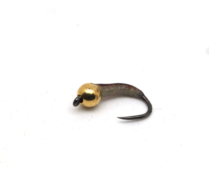 Caddis Larva Perdigon