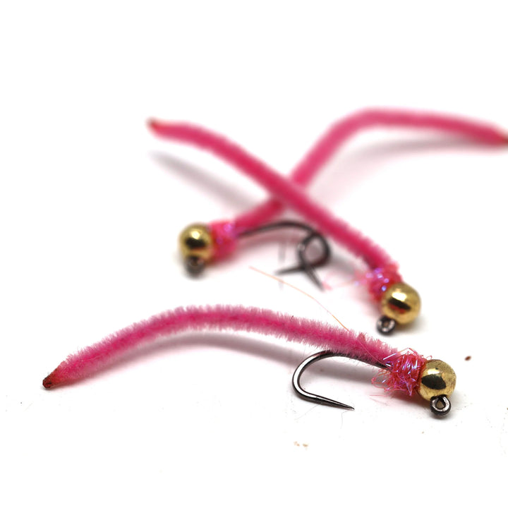 Euro Worm (Wholesale)