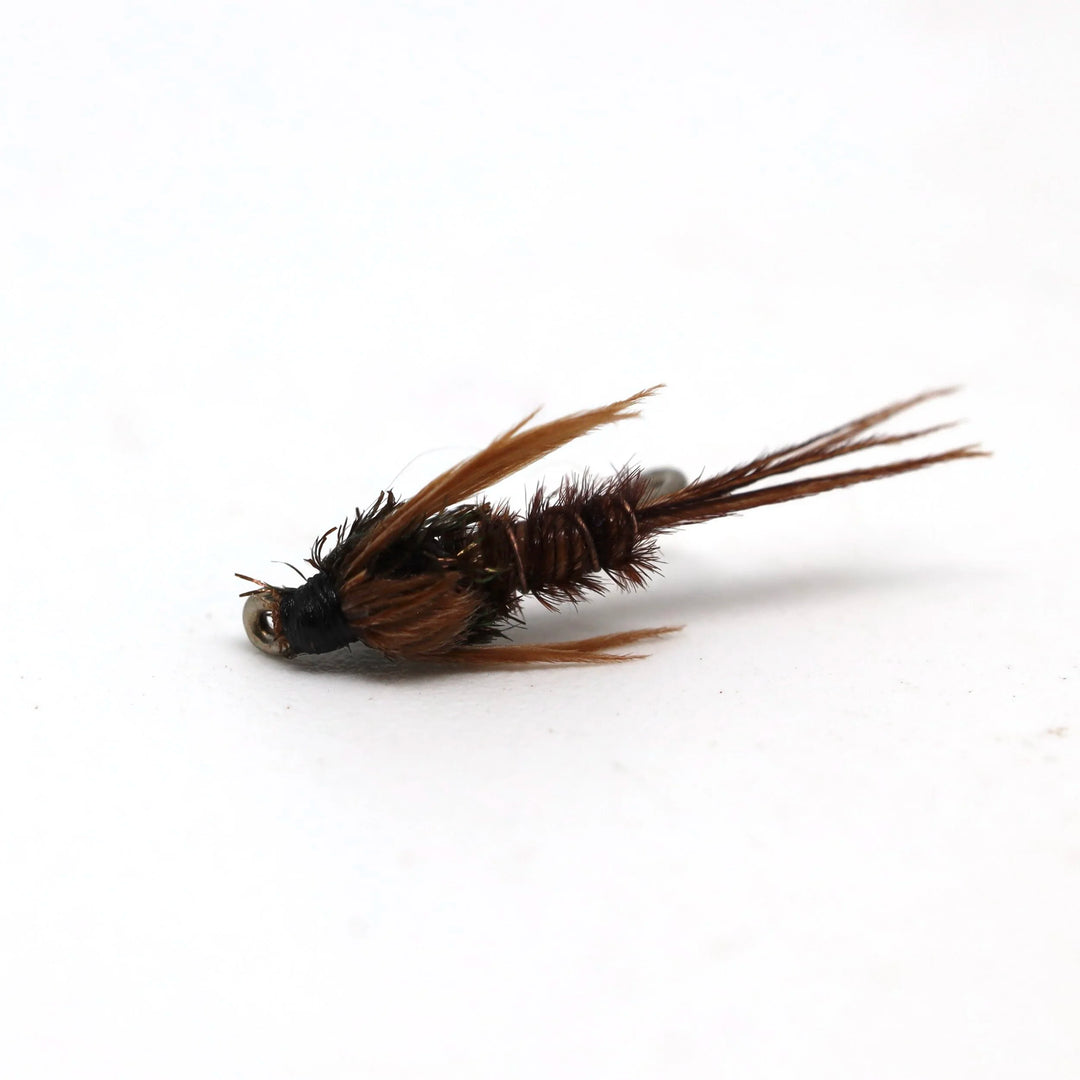 Classic Pheasant Tail