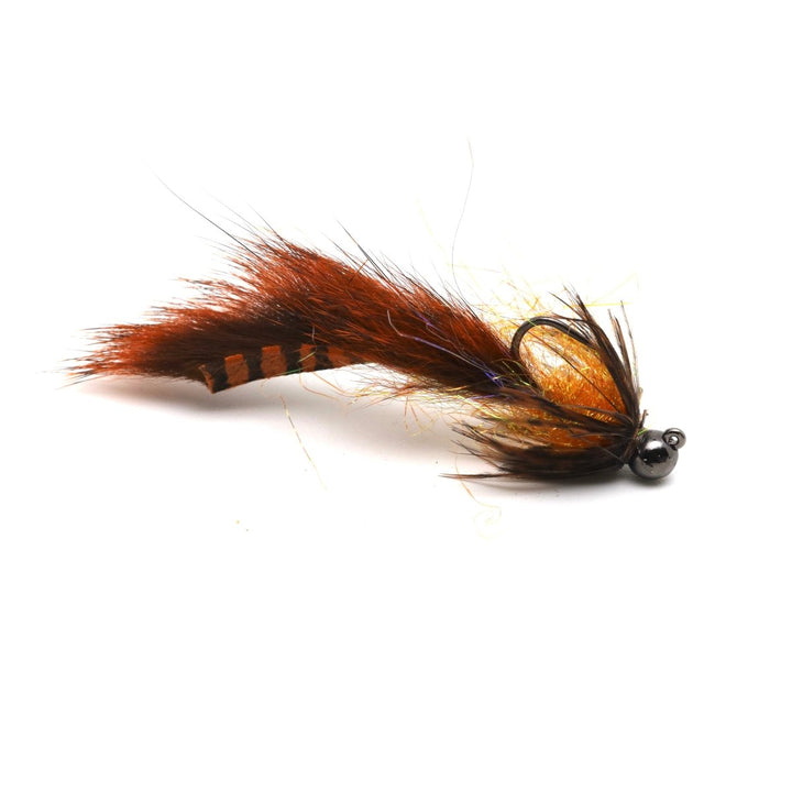 Feather Flash Leech