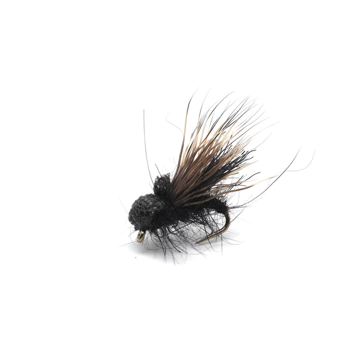 Ballon Caddis