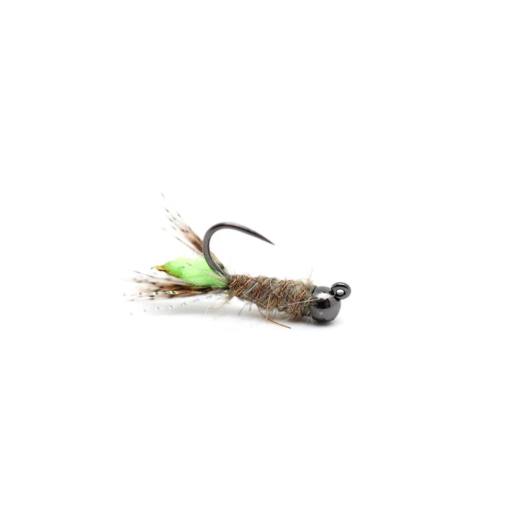 Peeping Caddis - Tungsten Redd's Flies