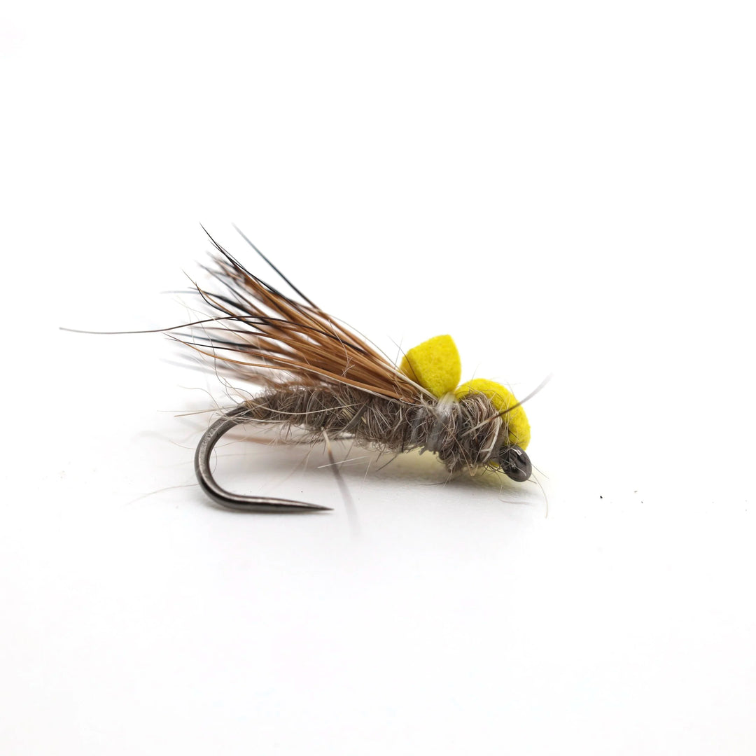 Ballon Caddis