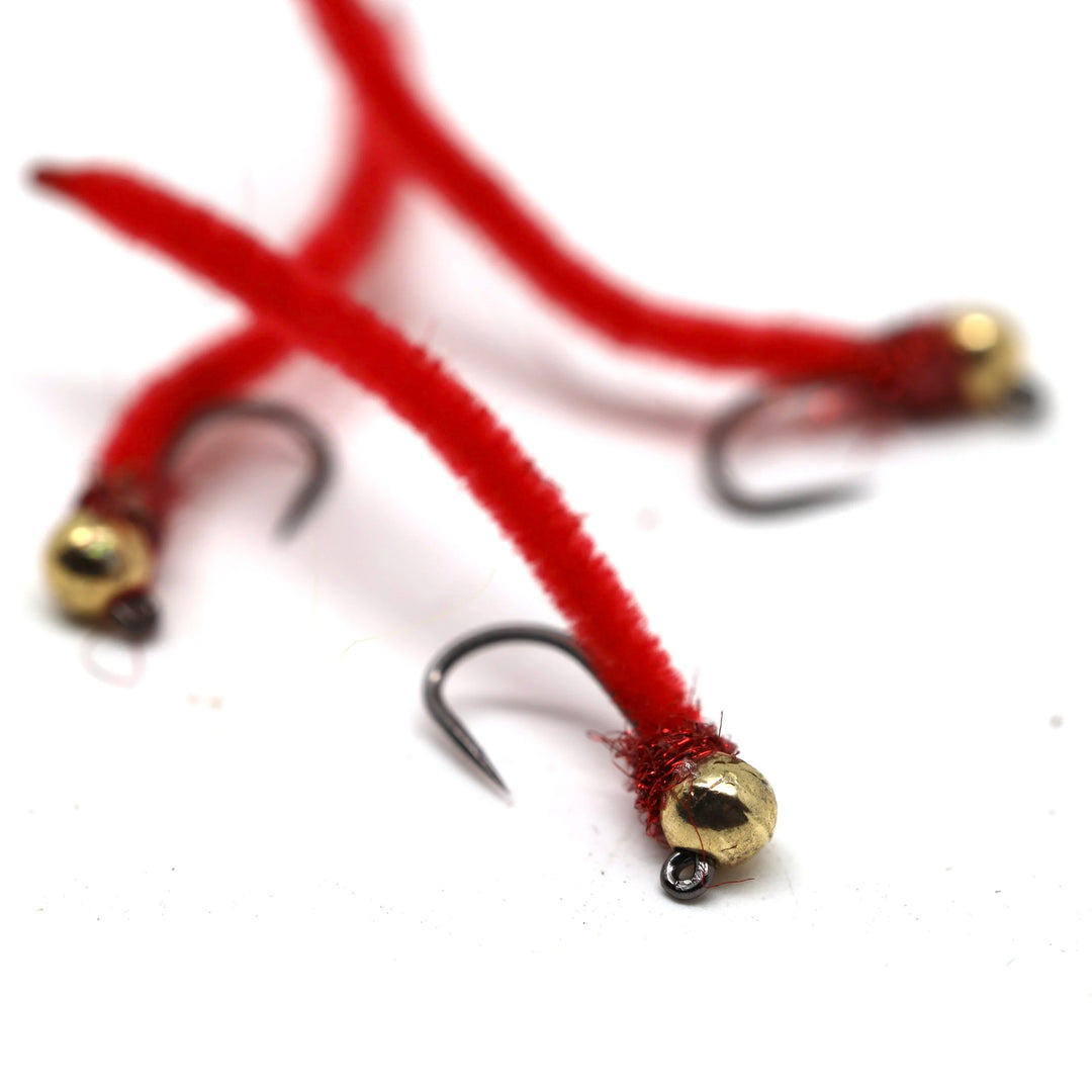 Euro Worm (Wholesale)