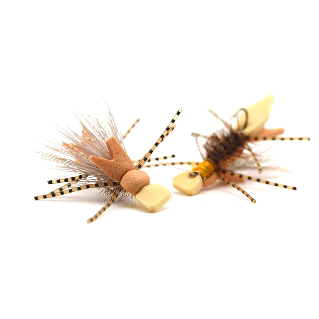 Amy's Ant