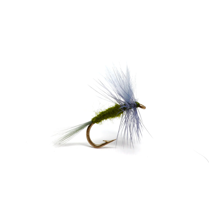 Classic Blue Winged Olive (BWO)s