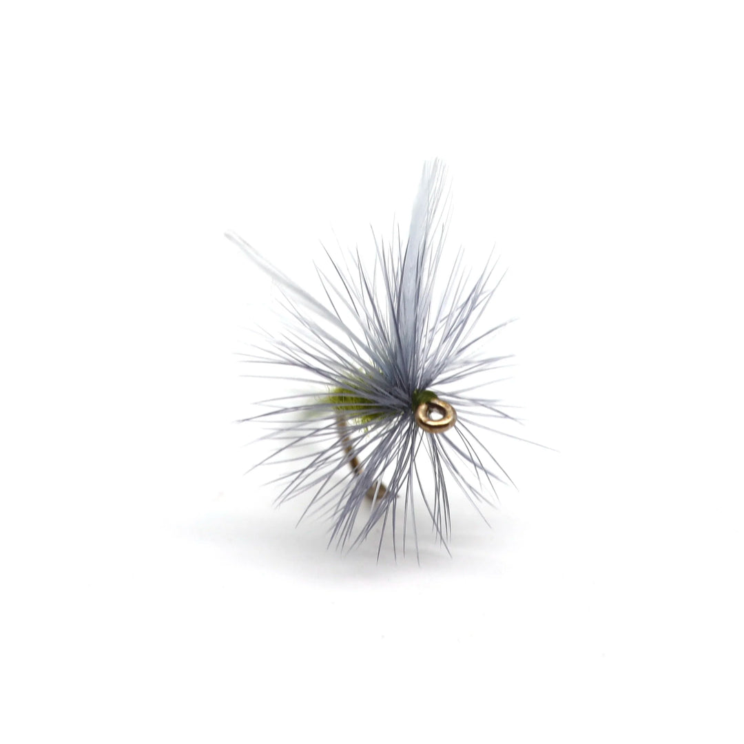 Classic Blue Winged Olive (BWO)s