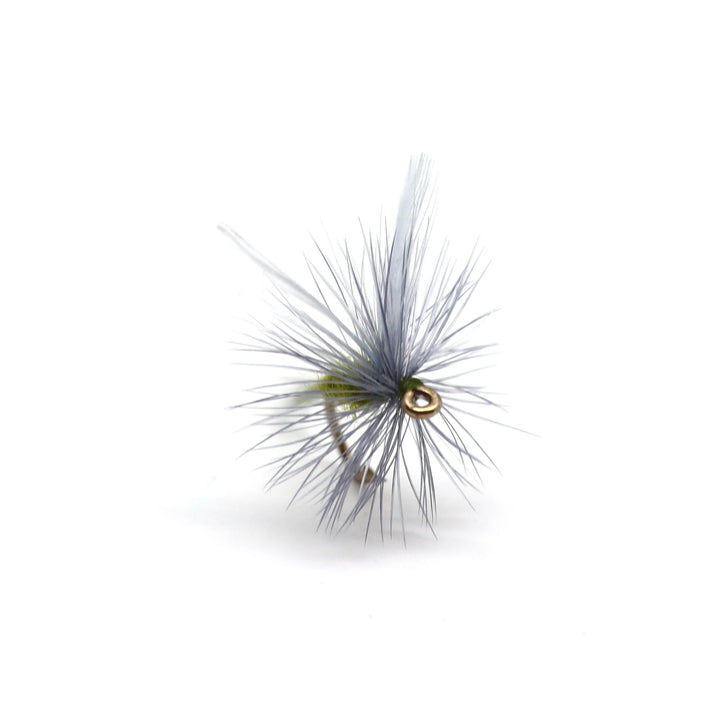 Classic Blue Winged Olive (BWO)s