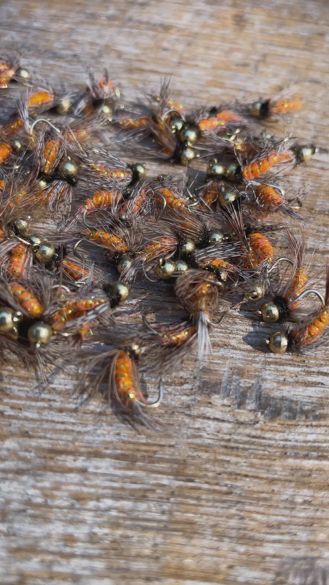 October Caddis Nymph - Tungsten