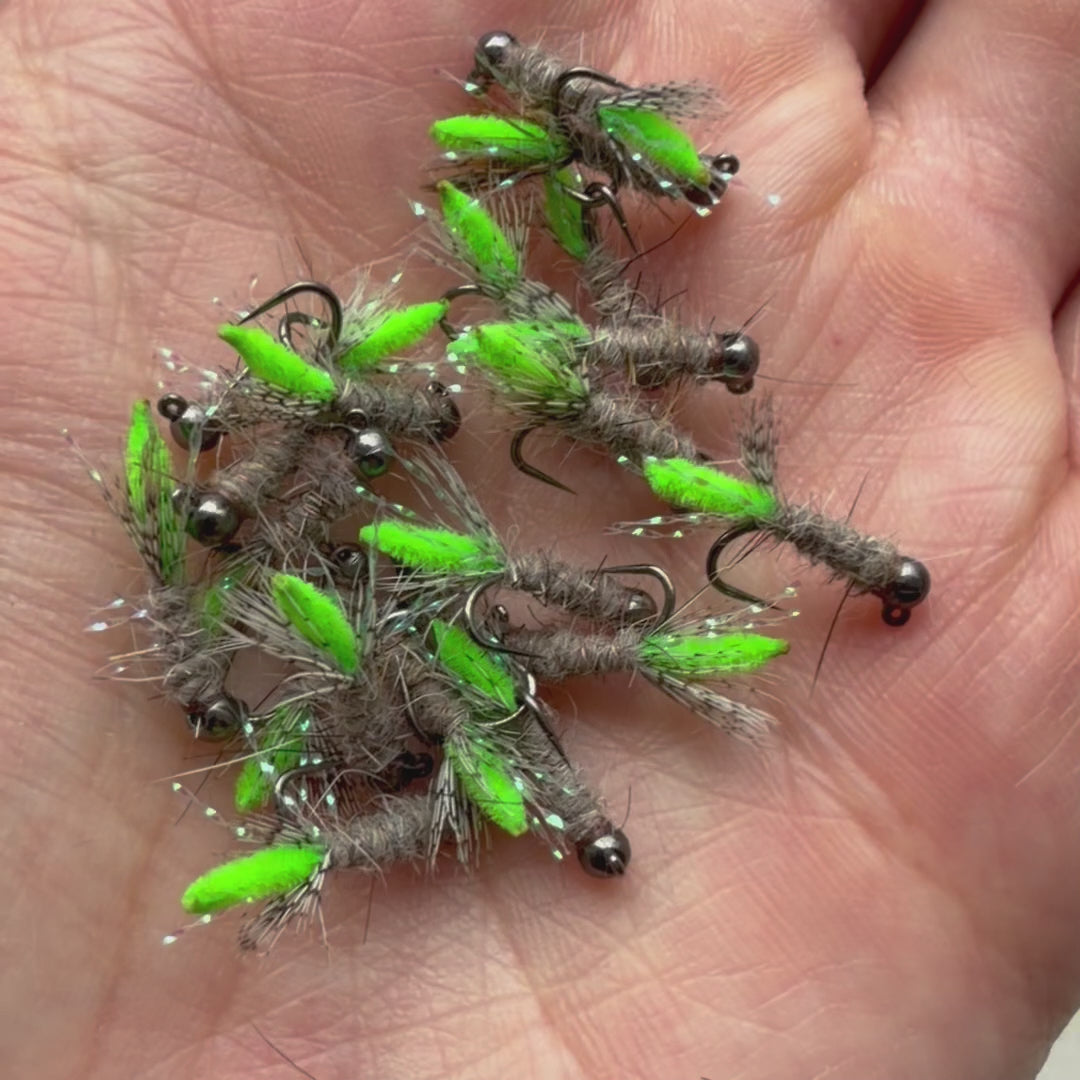 Peeping Caddis - Tungsten