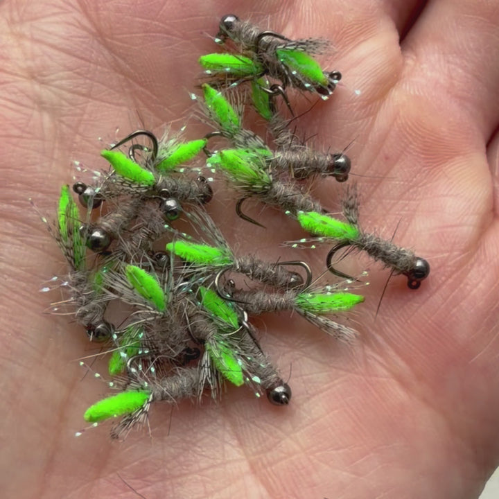 Peeping Caddis - Tungsten