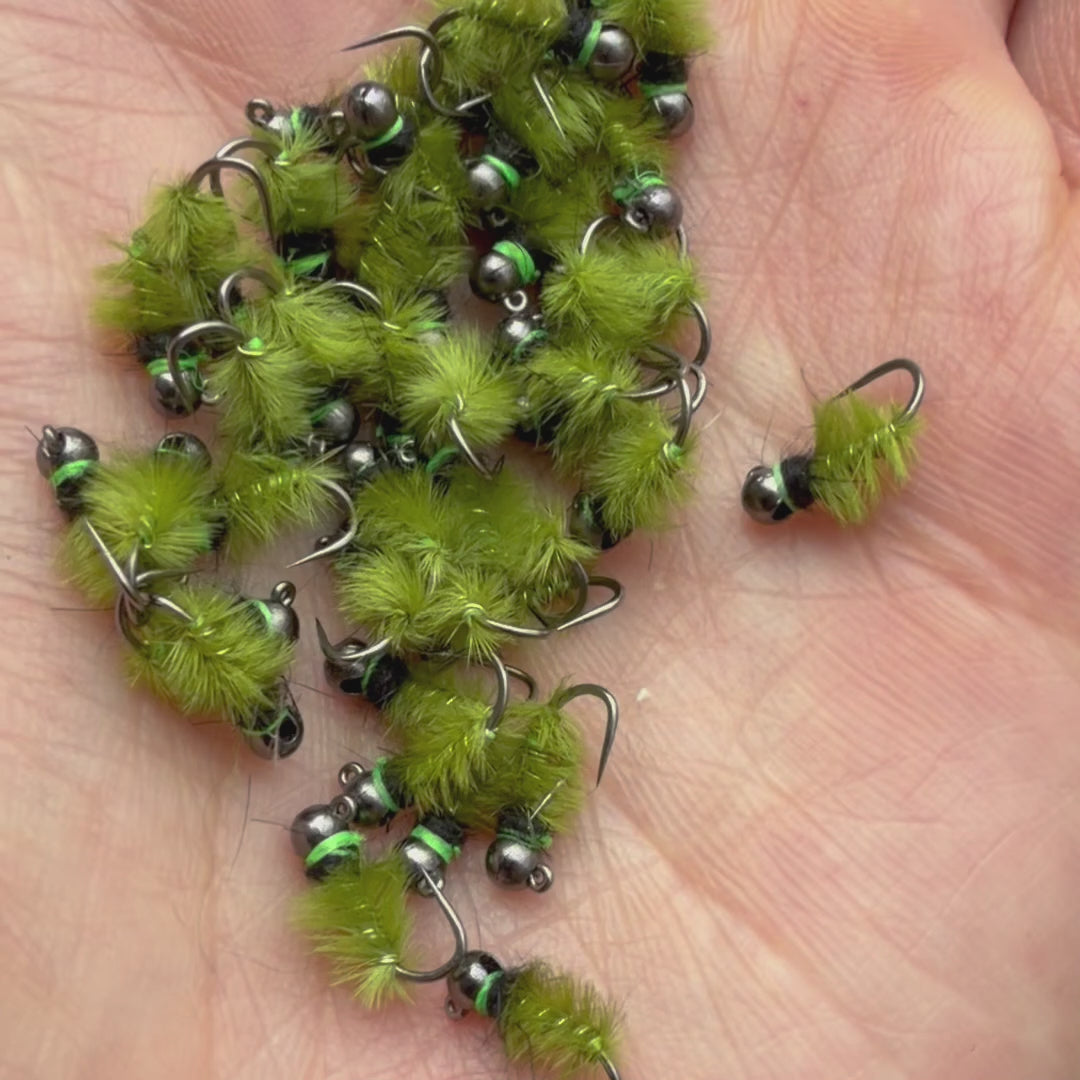 Hairy Caddis
