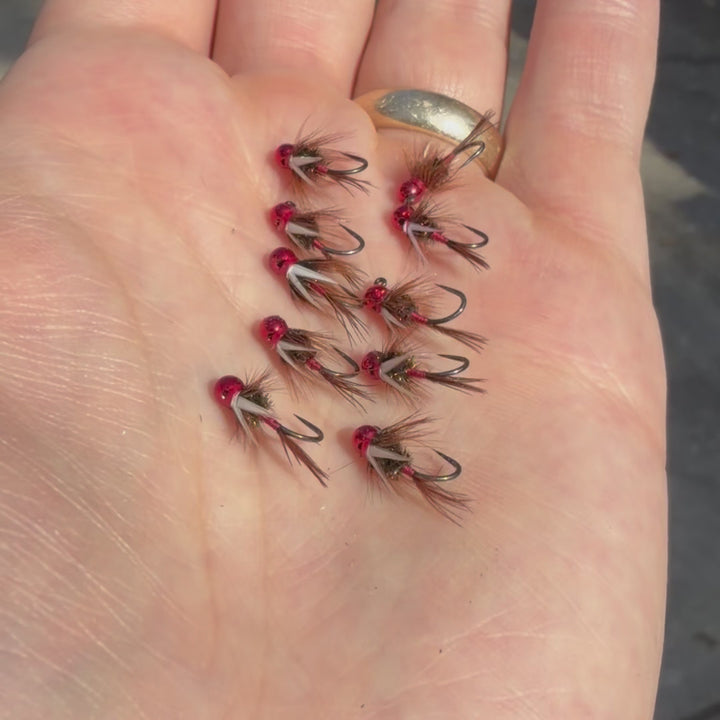 Redd's Prince Nymph - Tungsten